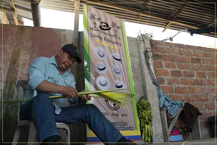 craftsman selecting toquilla straw